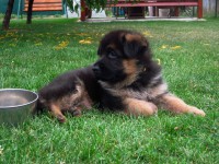 /album/a5-weeks/stenka-b-vrh-066-jpg/